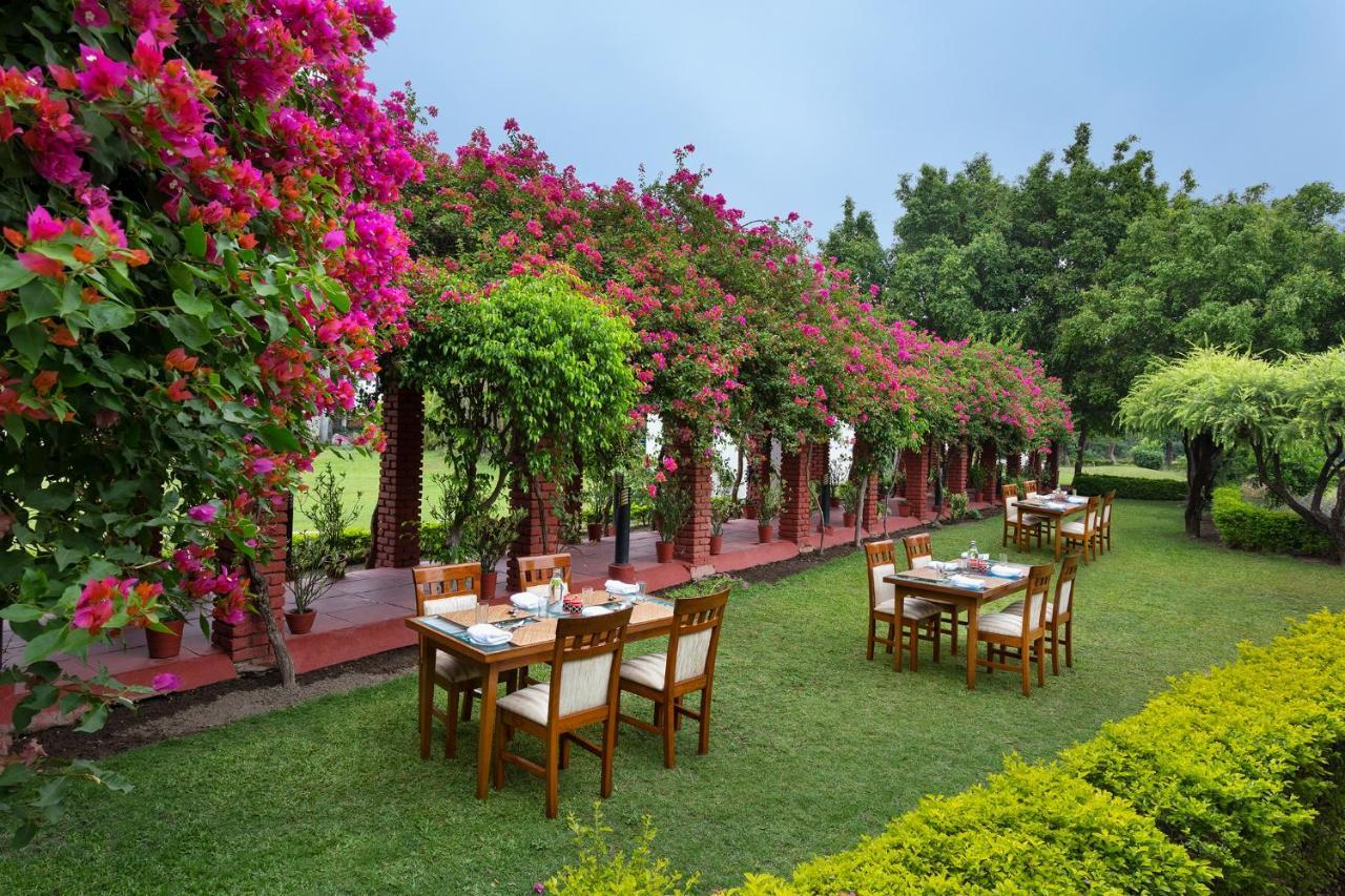 Naturoville Wellness Resort Rishikesh - Surrounded By Nature, Rooted In Wellness Doiwala Экстерьер фото